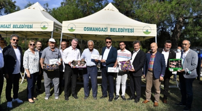 Bursa Osmangazi’de ‘kara incir’e yakışan festival
